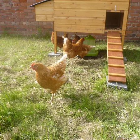 Casa de Férias Milecastle, On Hadrians *