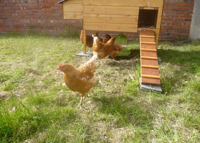 Casa de Férias Milecastle, On Hadrians *